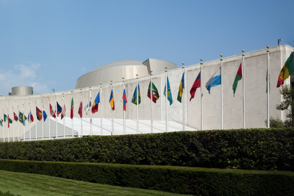 Political declaration of the third high-level meeting of the General Assembly on the prevention and control of non-communicable diseases