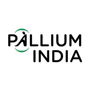 Pallium logo